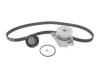 Купить Комплект ГРМ + помпа VW Caddy/Golf/Seat Ibiza/Skoda Octavia 1.6 92-04 (19x137z) Volkswagen Golf, Vento, Seat Ibiza, Volkswagen Polo, Seat Cordoba, Skoda Felicia, Volkswagen Caddy, Skoda Octavia BOSCH 1987946993 (фото1) подбор по VIN коду, цена 2737 грн.