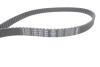 Купить Комплект ГРМ + помпа VW Caddy/Golf/Seat Ibiza/Skoda Octavia 1.6 92-04 (19x137z) Volkswagen Golf, Vento, Seat Ibiza, Volkswagen Polo, Seat Cordoba, Skoda Felicia, Volkswagen Caddy, Skoda Octavia BOSCH 1987946993 (фото7) подбор по VIN коду, цена 2737 грн.