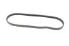 Купити Ремінь генератора Renault Laguna/Espace 3.5 02-/Honda Civic 1.6 88-01 (4PK775) BOSCH 1 987 947 891 (фото5) підбір по VIN коду, ціна 182 грн.