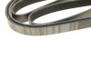 Купити Ремінь генератора Ford Transit 2.4TDCi/3.2TDCi 06- (7PK2682) BOSCH 1987948441 (фото5) підбір по VIN коду, ціна 935 грн.