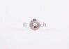 Купить Приводной ролик ТНВД BOSCH 2460300005 (фото1) подбор по VIN коду, цена 135 грн.