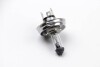 Купити Автолампа H4 12V 60/55W P45T SPECIAL Suzuki Swift, Alfa Romeo 33, 75, Mercedes 190 (W201), Ford Fiesta, Escort, Mercedes W124, S124, Fiat Panda, Opel Corsa, Kadett BOSMA 1451 (фото1) підбір по VIN коду, ціна 97 грн.