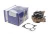 Купити Помпа води Citroen Jumper/Peugeot Boxer 3.0HDi/Fiat Ducato 2.3D/3.0D/Iveco 06- (R/B) (незначна корозія) BUGATTI dsc_pa10125 (фото2) підбір по VIN коду, ціна 2930 грн.