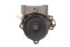 Купити Помпа води Citroen Jumper/Peugeot Boxer 3.0HDi/Fiat Ducato 2.3D/3.0D/Iveco 06- (R/B) (незначна корозія) BUGATTI dsc_pa10125 (фото6) підбір по VIN коду, ціна 2930 грн.