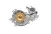 Купити Помпа води BMW (E53) X5 4.4i/4.8is/5 (E60-61) 545i/6 (E63-64) 645ci/7 (E65-67) 01-10 (R/B) (8 лоп.) BUGATTI pa10206 (фото2) підбір по VIN коду, ціна 2808 грн.