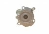 Купити Помпа води Seat Cordoba/Ibiza/Skoda Fabia/VW Polo V 1.9SDI 99-09 (R/B) (7 лоп) Skoda Fabia, Volkswagen Polo, Seat Ibiza BUGATTI pa10267 (фото7) підбір по VIN коду, ціна 892 грн.