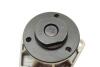 Купити Помпа води Opel Omega B/Vectra A/B/C 2.5/2.6/3.0/3.2 V6 93-06 (R/B) (6 лоп) BUGATTI pa7209 (фото4) підбір по VIN коду, ціна 1165 грн.