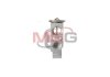 Купить Клапан кондиционера расширительный CARGO 260212 (фото2) подбор по VIN коду, цена 834 грн.