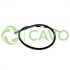 Купить RENAULT Трос ручного тормоза Laguna (1247/1054mm) CAVO 1302 662 (фото1) подбор по VIN коду, цена 228 грн.