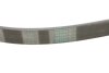 Купити Ремінь генератора Audi A6/A7/A8 S6/S7/S8/4.0TFSI quattro 12-18/Opel Astra F 1.4/1.6i/si 91-98 Contitech 5PK985 (фото3) підбір по VIN коду, ціна 486 грн.