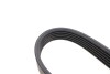 Купить Комплект ГРМ Audi Q3, Seat Leon, Volkswagen Golf, Audi A3, Skoda Octavia, Volkswagen Passat, Jetta, Skoda Superb, Volkswagen Touran, Tiguan, Skoda Kodiaq Contitech 6PK1033K1 (фото3) подбор по VIN коду, цена 2067 грн.