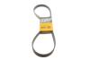 Купить Ремень генератора поликлиновый CONTINENTAL Contitech 6PK1080 EXTRA (фото1) подбор по VIN коду, цена 677 грн.