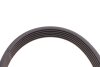 Купить Ремень генератора Citroen Jumper/Fiat Ducato 2.0/2.2HDi/JTD 02 Audi 80, Renault 19, Audi A6, Honda Accord, Peugeot 306, Toyota Yaris, Peugeot 405, Mini Cooper, BMW F46, F40 Contitech 6PK1173 (фото4) подбор по VIN коду, цена 634 грн.