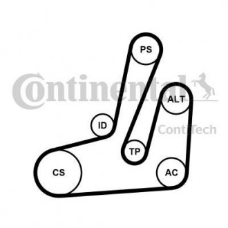 Купить Комплект (ремень+ролики)) Peugeot 206, Citroen Xsara, Berlingo, Peugeot 306, Citroen Jumpy, Peugeot Partner, Fiat Scudo, Peugeot Expert Contitech 6PK1390K1 (фото1) подбор по VIN коду, цена 4290 грн.