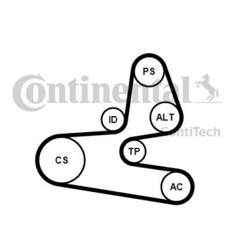 Купить Комплект (ремень+ролики)) Citroen Berlingo, Peugeot Partner, Citroen Xsara, Peugeot 206, Citroen Nemo, Peugeot Bipper Contitech 6PK1564 K1 (фото1) подбор по VIN коду, цена 4714 грн.