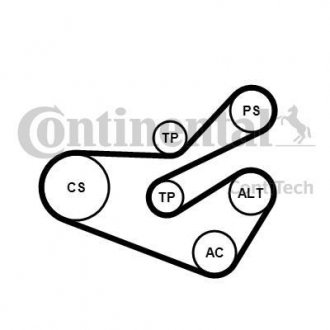 Купить Комплект (ремень+ролики)) Citroen Xsara, Peugeot 206 Contitech 6PK1740K3 (фото1) подбор по VIN коду, цена 3818 грн.