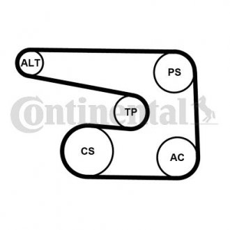 Купити Комплект (ремінь+ролики))) Chevrolet Lacetti, Daewoo Nubira, Chevrolet Aveo Contitech 6PK1873 K5 (фото1) підбір по VIN коду, ціна 3260 грн.