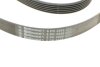 Купить Ремень поликлиновый Nissan X-Trail 2,0i 2,5i 01&gt;08, 2,0i 08&gt; Contitech 6PK2245 (фото3) подбор по VIN коду, цена 1018 грн.