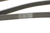 Купить Ремень поликлиновый Nissan X-Trail 2,0i 2,5i 01&gt;08, 2,0i 08&gt; Contitech 6PK2245 (фото4) подбор по VIN коду, цена 1018 грн.