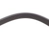 Купить Ремень генератора Renault Megane/Laguna/Scenic 2.0 dCi 07-/Peugeot 508 2.0HDI 18- Contitech 7PK1705 (фото3) подбор по VIN коду, цена 882 грн.