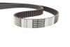 Купить Комплект ГРМ Renault Kangoo/Megane/Scenic 1.9dCi 01- (26x153z) Renault Megane, Laguna, Espace, Volvo S40, V40, Renault Scenic Contitech ct940k1 (фото2) подбор по VIN коду, цена 4548 грн.