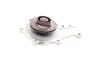 Купить Помпа воды Citroen Berlingo/Fiat Scudo 1.6HDI 08- (19z) Contitech wp6014 (фото2) подбор по VIN коду, цена 1838 грн.