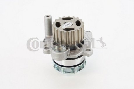 Купити Водяний насос Volkswagen Passat, Seat Ibiza, Leon, Volkswagen Golf, Skoda Octavia, Volkswagen Jetta, Skoda Roomster, Superb, Yeti, Audi A6, A1 Contitech wp6072 (фото1) підбір по VIN коду, ціна 1345 грн.