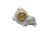 Купити Помпа води Citroen Berlingo/Peugeot Partner 1.2 PureTech 16- Contitech wps3078 (фото2) підбір по VIN коду, ціна 3302 грн.