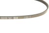 Купить Ремень ручейковый Honda Civic / Mazda 626 1.3-2.2 i 87-97 DAYCO 3PK760 (фото4) подбор по VIN коду, цена 176 грн.
