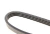 Купити Ремінь генератора Citroen Jumper/Fiat Ducato 3.0HDi/D 06- DAYCO 4PK1102EE (фото4) підбір по VIN коду, ціна 337 грн.