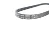 Купить Ремень ручейковый BMW 3/5/X3/X5 2.0/3.0 d 04-13 DAYCO 4PK836EE (фото4) подбор по VIN коду, цена 269 грн.