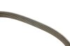 Купить Ремень ручейковый Mazda 626 1.6-2.2 i 83-97 / Opel Kadett 1.6 i 86-94 DAYCO 5PK1010 (фото3) подбор по VIN коду, цена 353 грн.
