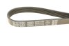 Купить Ремень ручейковый Mazda 626 1.6-2.2 i 83-97 / Opel Kadett 1.6 i 86-94 DAYCO 5PK1010 (фото4) подбор по VIN коду, цена 353 грн.