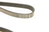 Купить Ремень ручейковый Mazda 626 1.6-2.2 i 83-97 / Opel Kadett 1.6 i 86-94 DAYCO 5PK1010 (фото5) подбор по VIN коду, цена 353 грн.