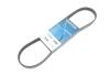 Купить Ремінь генератора Hyundai i10/i20 1.2 08- (5PK898) DAYCO 5PK898EE (фото2) подбор по VIN коду, цена 323 грн.