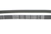 Купить Ремінь генератора Hyundai i10/i20 1.2 08- (5PK898) DAYCO 5PK898EE (фото4) подбор по VIN коду, цена 323 грн.