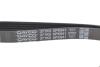 Купить Ремень ручейковый Fiat Ducato 1.9 D/TD 94-02 DAYCO 5PK941 (фото4) подбор по VIN коду, цена 269 грн.
