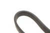 Купити Ремінь генератора VW T5 1.9TDI/VW Caddy 1.9/2.0TDI (+AC) DAYCO 6DPK1215 (фото2) підбір по VIN коду, ціна 687 грн.