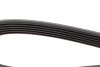 Купити Ремінь генератора Peugeot Boxer 2.5D/TD 94-02 (ALT,PS) DAYCO 6PK1025 (фото3) підбір по VIN коду, ціна 352 грн.