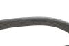 Купить Ремень ручейковый Ford Fiesta 1.25-1.6 i 08- Ford Fiesta DAYCO 6PK1033EE (фото4) подбор по VIN коду, цена 412 грн.