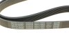 Купить Ремень ручейковый BMW 7 5.0 i 87-94 DAYCO 6PK1082 (фото4) подбор по VIN коду, цена 408 грн.