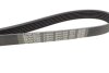 Купить Ремень ручейковый Renault Kangoo 1.9 dTi/dCi 00- DAYCO 6PK1209 (фото3) подбор по VIN коду, цена 546 грн.