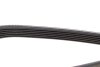 Купить Ремень ручейковый Renault Kangoo 1.9 dTi/dCi 00- DAYCO 6PK1209 (фото4) подбор по VIN коду, цена 546 грн.