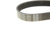 Купити Ремінь генератора VW T5 3.2 V6 03-09 DAYCO 6PK1264 (фото5) підбір по VIN коду, ціна 480 грн.