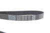 Купить Ремень ручейковый Citroen Berlingo / Peugeot Partner 1.6 HDi 05- DAYCO 6PK1341 (фото4) подбор по VIN коду, цена 490 грн.
