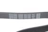 Купити Ремінь генератора Opel Astra 1.7 CDTI 04-14 DAYCO 6PK1606 (фото4) підбір по VIN коду, ціна 513 грн.