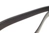 Купить Ремень ручейковый Citroen Jumper / Peugeot Boxer 2.2 HDi 11- / Ford Transit 2.0/2.2 DI/TDCi 00-14 Audi 80, A8, A6, Renault Megane, Volvo S40, V40, Mitsubishi Carisma, Volvo S90, Volkswagen LT, Renault Laguna, Ford Mondeo DAYCO 6PK1640 (фото4) подбор по VIN коду, цена 504 грн.