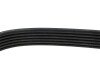 Купити Ремінь генератора MB G-class (W461) M102 89-00 Mercedes G-Class, Alfa Romeo 145, 146, 156, Audi A4, A6, Opel Frontera, Alfa Romeo 166, Audi Allroad, Alfa Romeo 147 DAYCO 6PK1855 (фото4) підбір по VIN коду, ціна 551 грн.