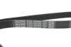 Купить Ремень DAYCO 6PK2063 (фото4) подбор по VIN коду, цена 810 грн.