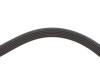 Купити Ремінь струмковий Mercedes W901, W902, Porsche Boxster, 911, Mercedes W903, Ford Focus, Mercedes W904, Porsche Cayman DAYCO 6PK2115 (фото3) підбір по VIN коду, ціна 593 грн.
